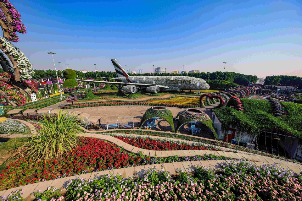 DTCM Dubai Miracle Garden 14 1