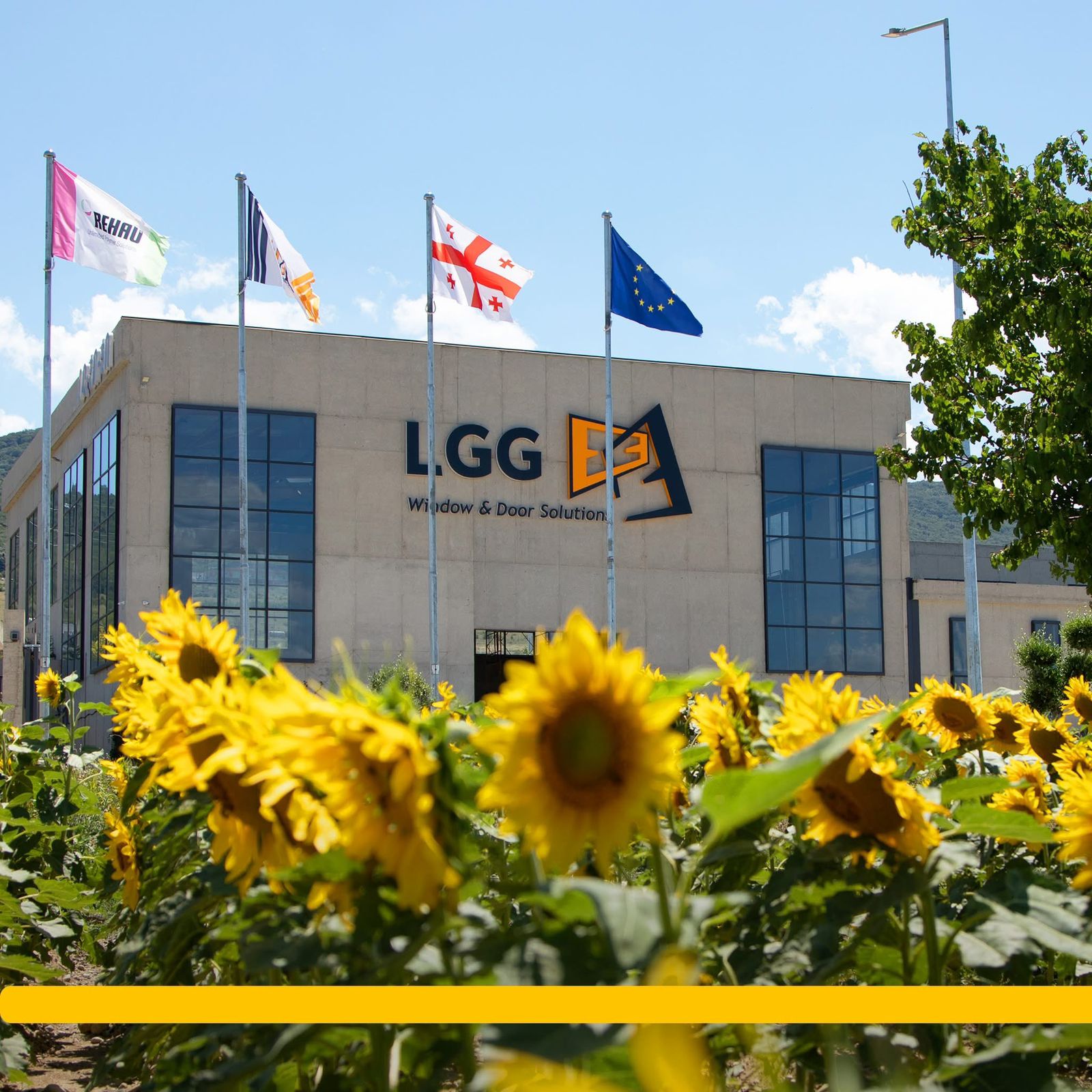 WhatsApp Image 2026 01 21 at 09.10.57