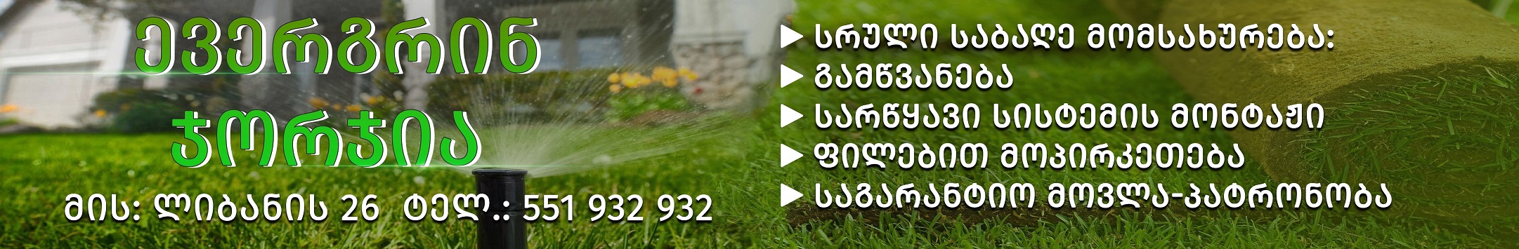 ევერგრინ